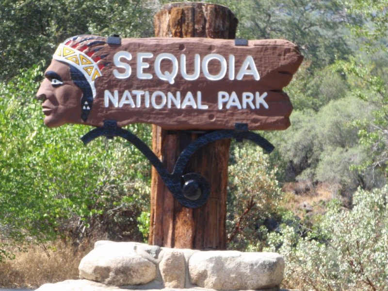 sequoianationalpark.jpg